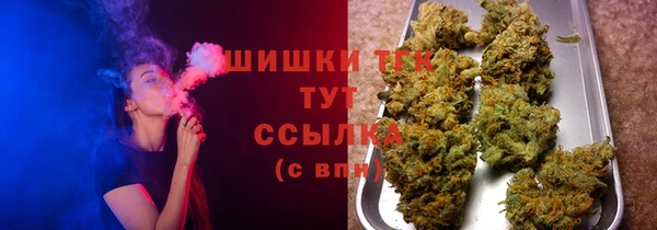 гидра Покачи