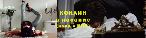 гидра Покачи