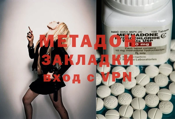 гидра Покачи