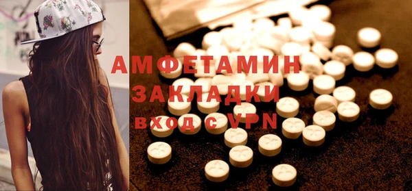 гидра Покачи