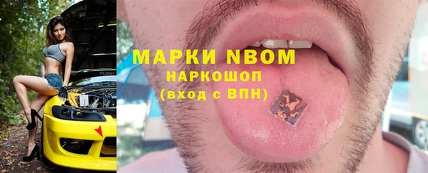 гидра Покачи