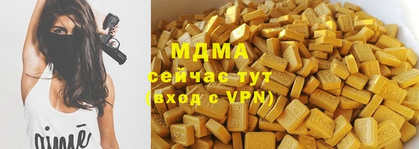 гидра Покачи