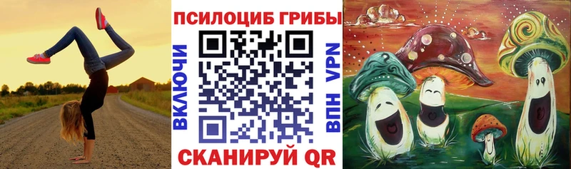 Галлюциногенные грибы Cubensis как найти наркотики Истра