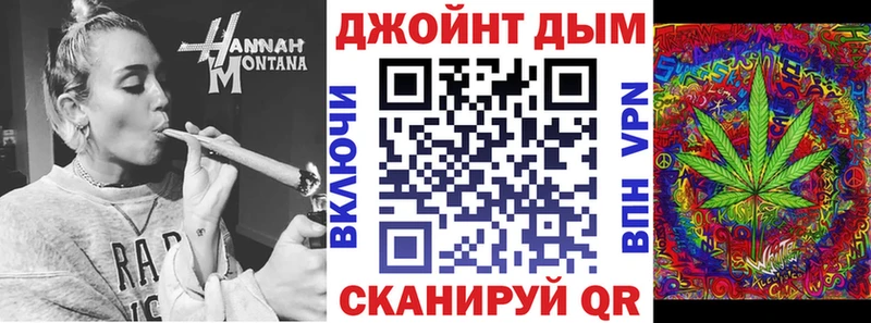 KRAKEN   Истра  Конопля план 